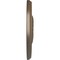 Ekena Millwork Randee Ceiling Medallion (Fits Canopies up to 3 7/8"), Hand-Painted Warm Silver, 20"OD x 1 3/8"P CM20HAWSS - alternate 2